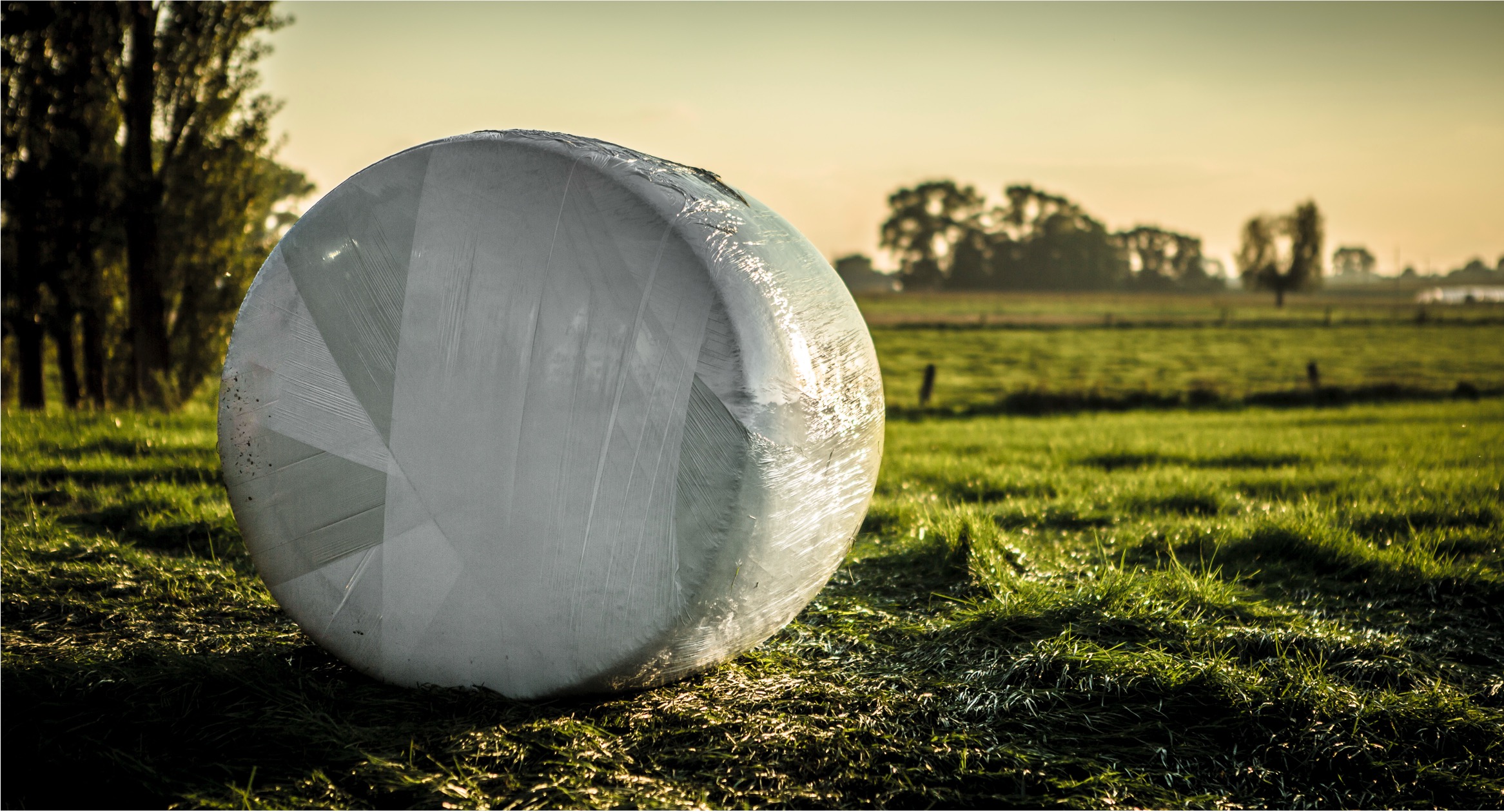 Round bale in field